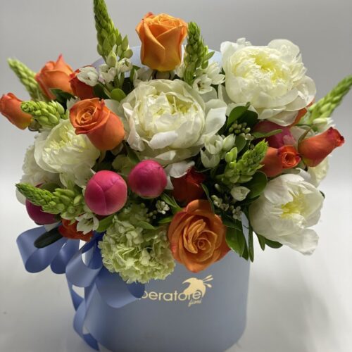 Box/Scatola benedetta