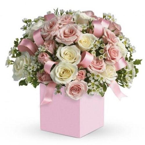 47 Rose Conservate In Lussuosa Scatola Scamosciata – Fiori Eterni Per Ogni Occasione