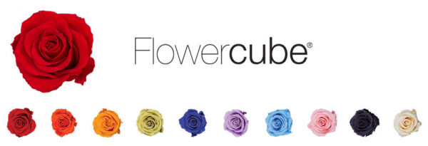 flowercube-1-1024×350