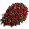 cuscino rose rosse