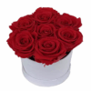 Box/Scatola cappelliera con 7 rose rosse