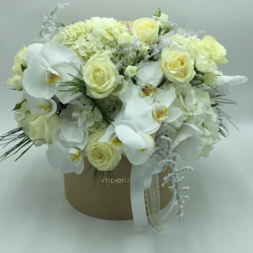 box/scatola splendi fiori bianchi