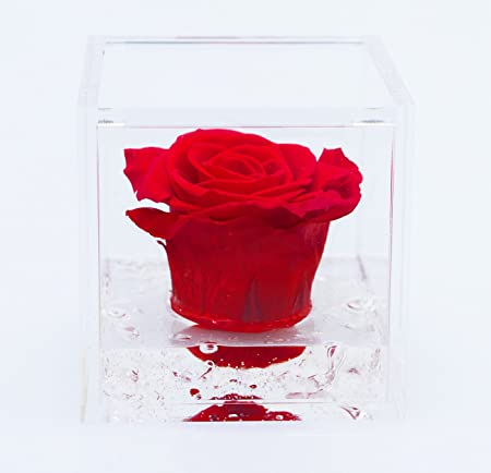 FlowerCube con rosa rosso