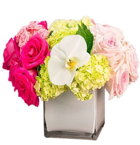 composizione in vasetto vetro