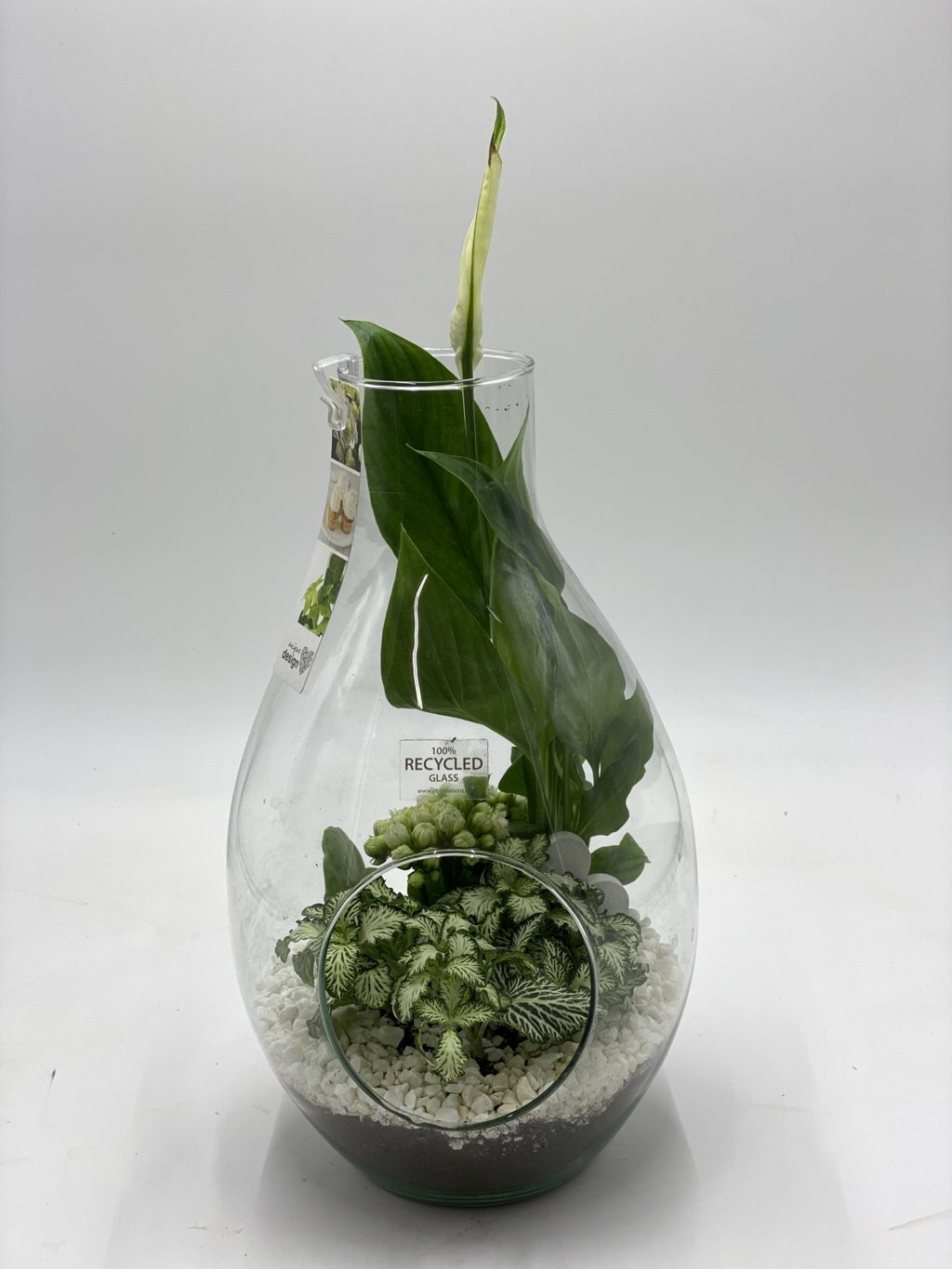 composizione in vaso vetro con piantine - Consegna di Fiori a