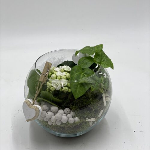 composizione in vasi vetro con piantine (Copia)