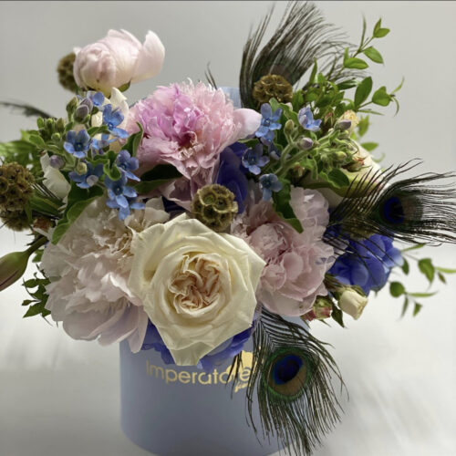 box/scatola colori pastello con piume