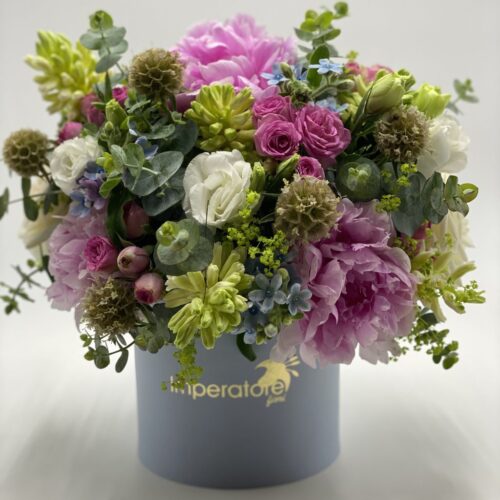 Box/scatola  Polvere multicolor