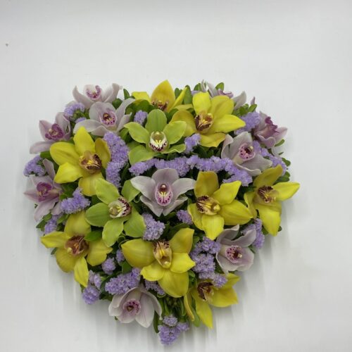 cuore di cymbidium colorato