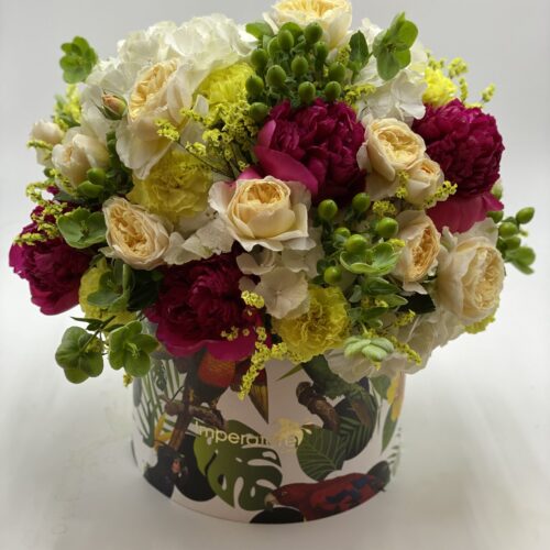 Box/scatola tropical