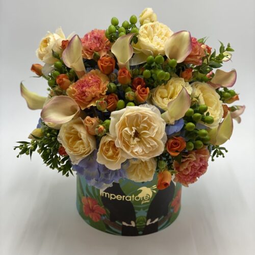 Box/scatola tropical orancio e albicocca