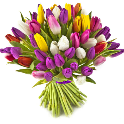 bouquet tulipani maxi