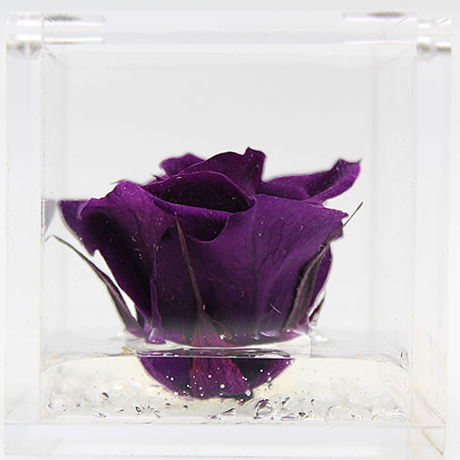 FlowerCube con rosa viola