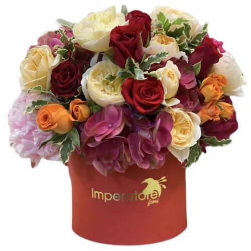 box/scatola rosso con sfumature di colori misti