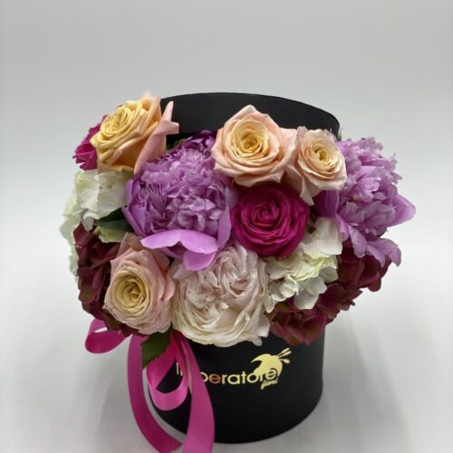 box/scatola nera veronica contrasti di colori