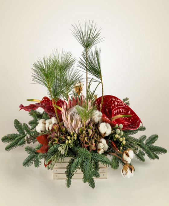 Centrotavola natalizio quadrata con anthurium rossi e hypericum bianco