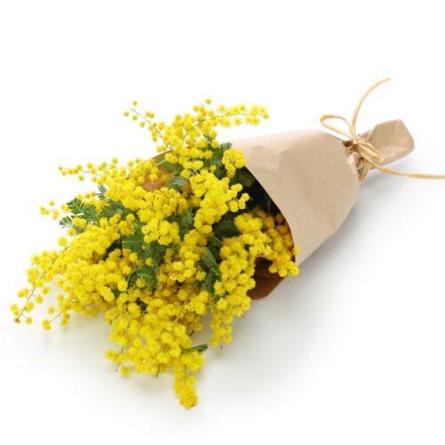 bouquet di mimosa