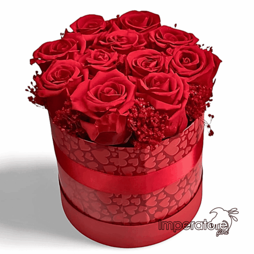 Box 11 Rose Stabilizzate