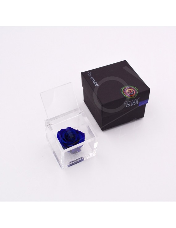 flowercube-rosa-6×6-packaging-blu-blue flowercube-rosa-6×6-packaging-blu-blue