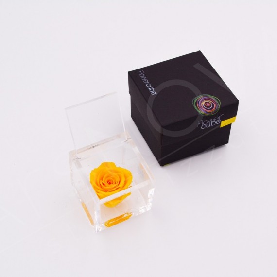 flowercube-rosa-6×6-packaging-giallo-yellow flowercube-rosa-6×6-packaging-giallo-yellow
