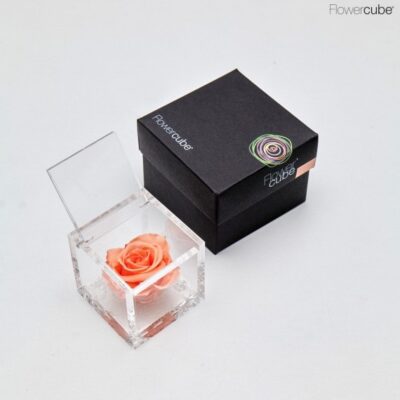 FLOWERCUBE – Rosa Eterna Pesca/Peach (cubi 6×6 / 8×8 / 10×10 cm) con cofanetto