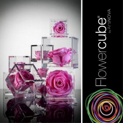 FLOWERCUBE – Rosa Eterna Rosa/Pink (cubi 6×6 / 8×8 / 10×10 cm) con cofanetto