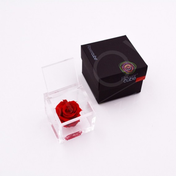 flowercube-rosa-6×6-packaging-rosso-red flowercube-rosa-6×6-packaging-rosso-red
