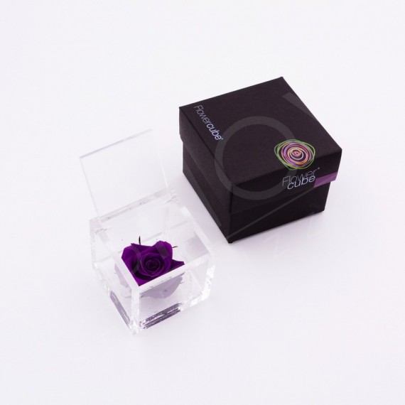 flowercube-rosa-6×6-packaging-viola-purple flowercube-rosa-6×6-packaging-viola-purple