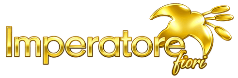 Consegna di Fiori a Domicilio a Napoli – Fiorista online – Fioraio napoli