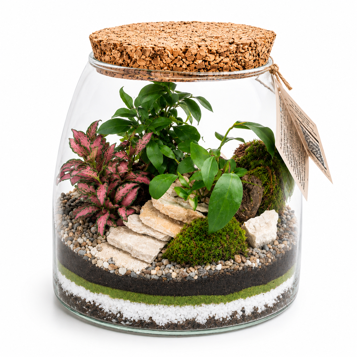 Terrario in Vetro Artigianale con Piante Tropicali e Tappo in Sughero – Giardino in Bottiglia